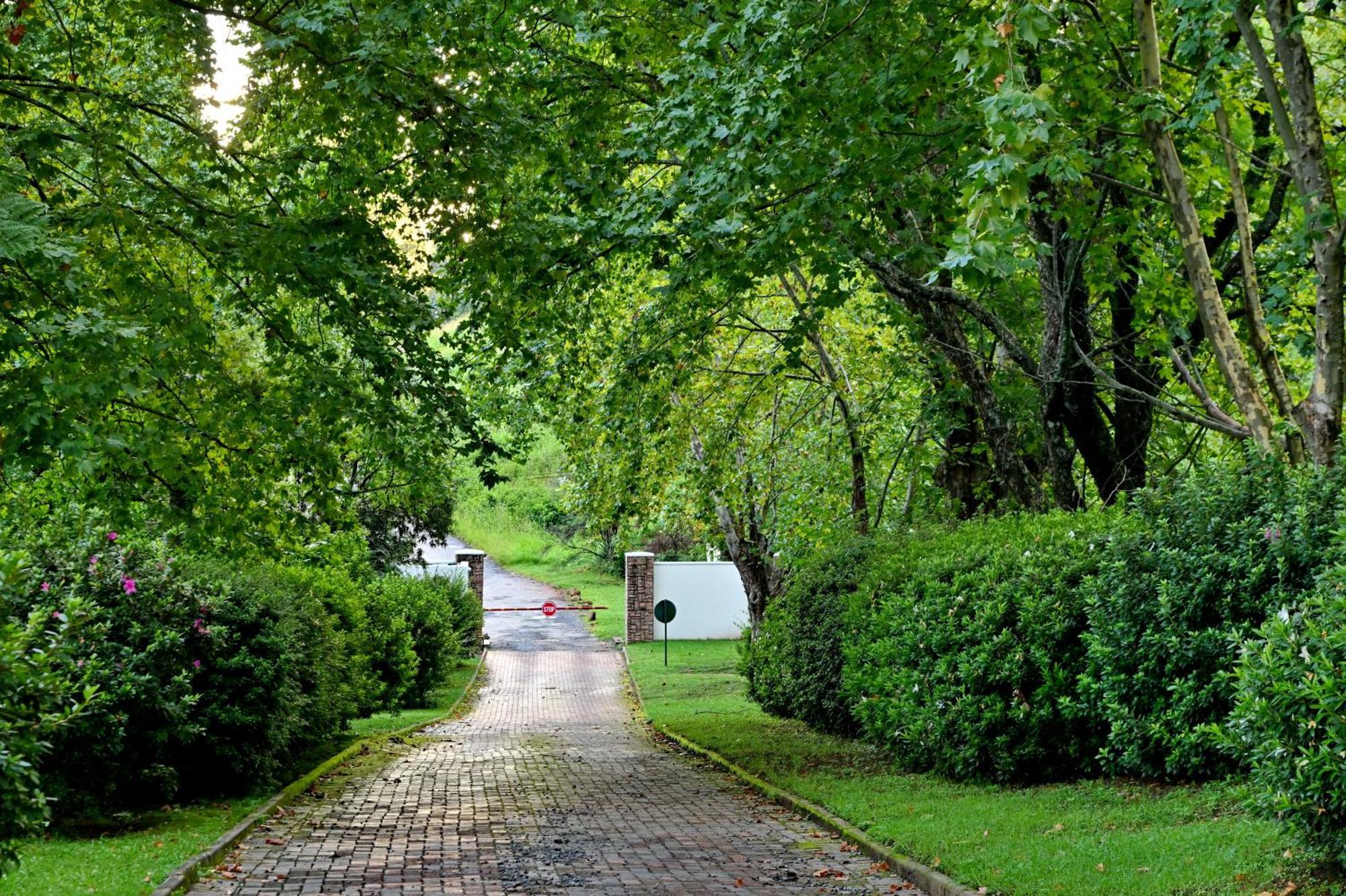 Champagne Castle Hotel Champagne Valley Екстер'єр фото